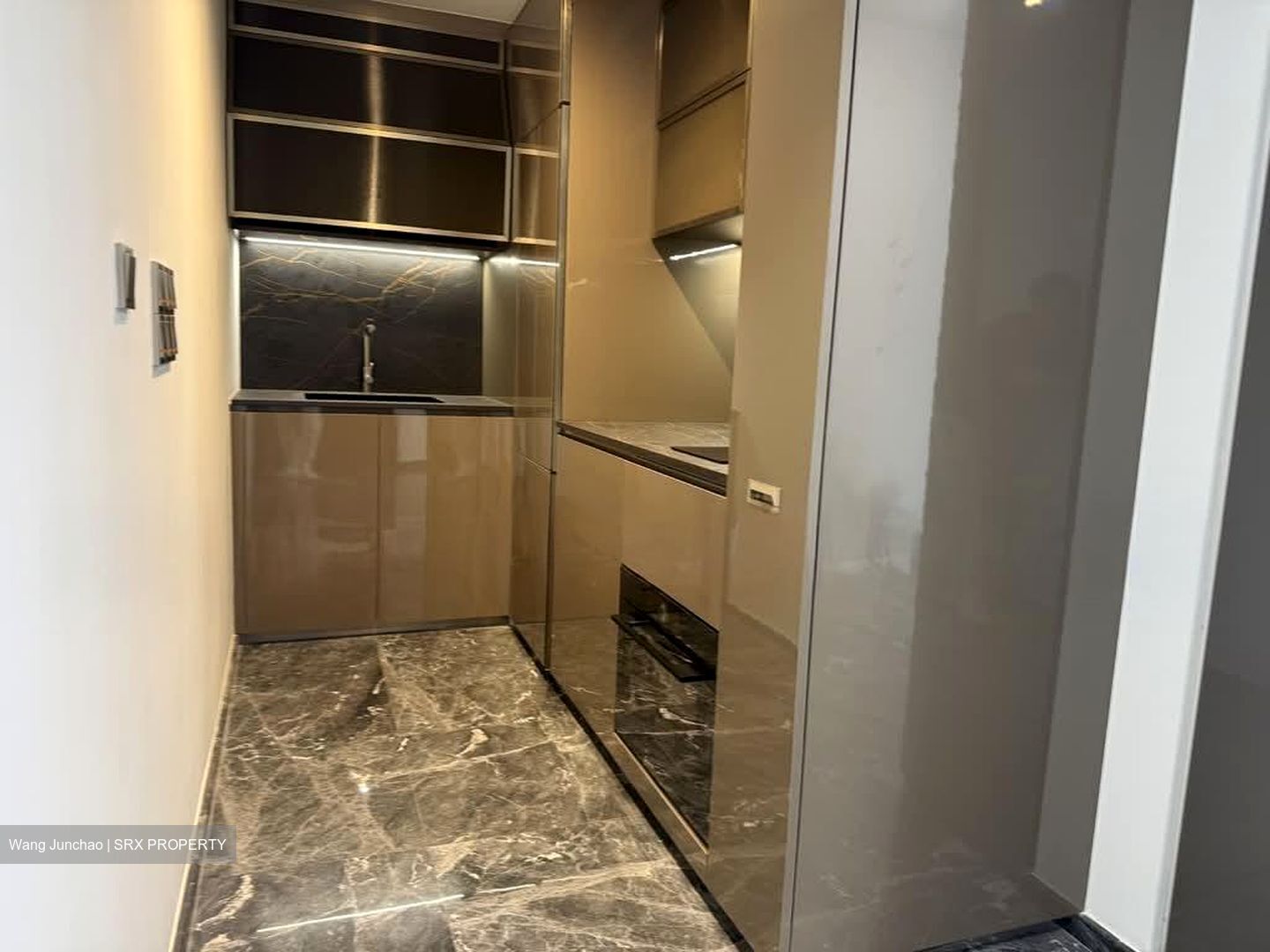 One Bernam (D2), Apartment #528932051